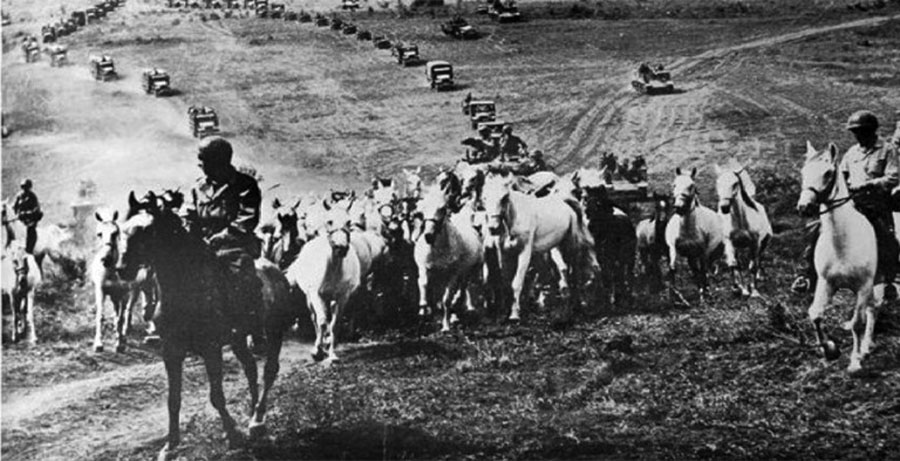 American GIs, with the help of German soldiers and Allied POWs, drive a herd of priceless Lipizzaner horses out of the path of the advancing Red Army while fending off attacks by Nazi die-hards.