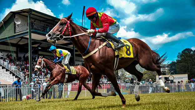 Photo credit by Canva Editor