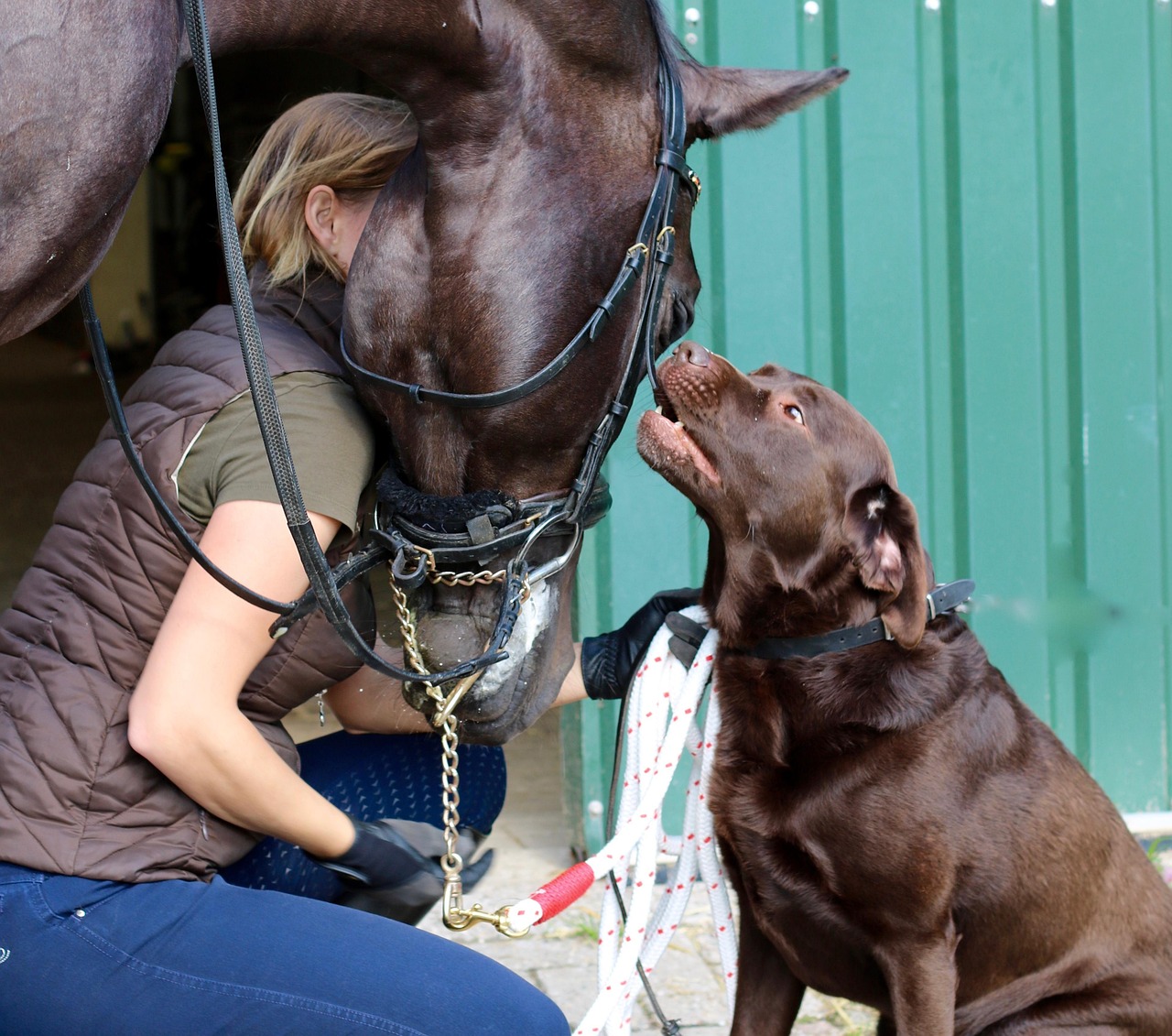 Image by Raoulpixa from Pixabay