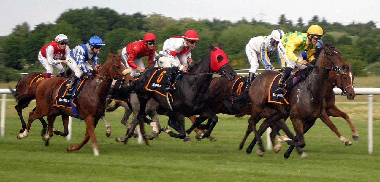 Image by dreamtemp from Pixabay