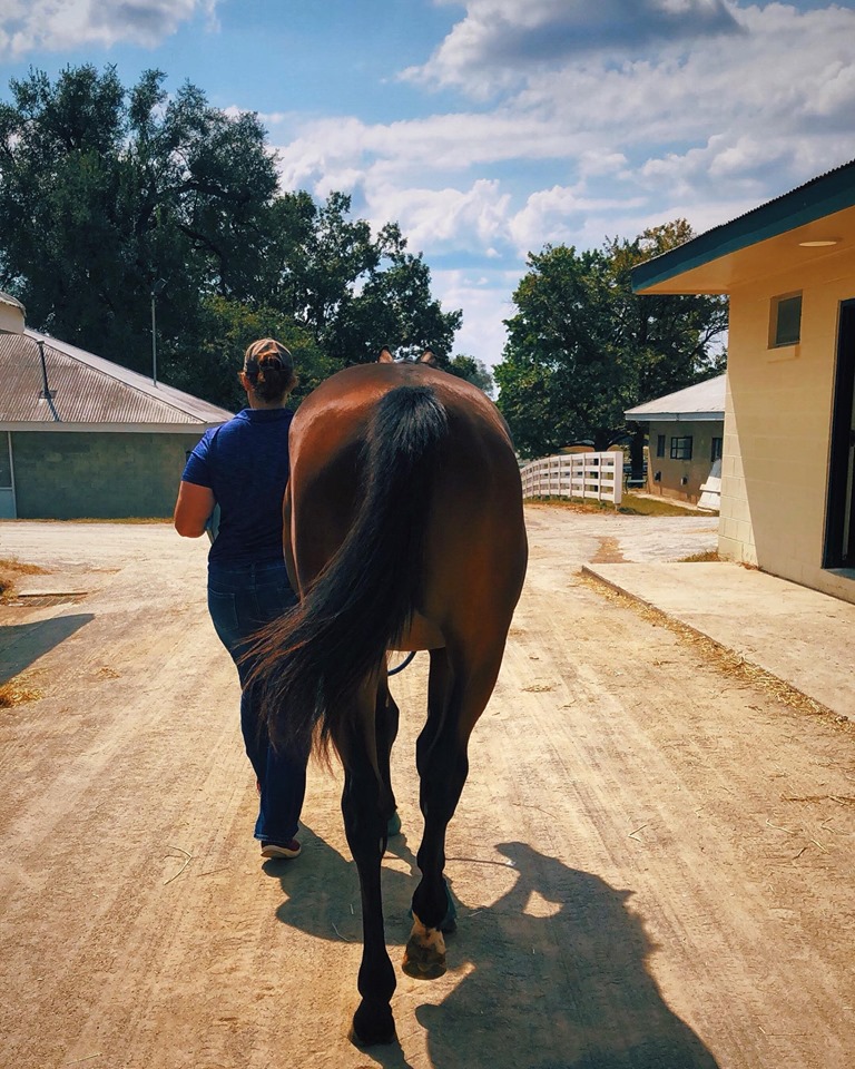 How lucky are we to have something that makes saying goodbye so hard. How lucky are we to have something that makes saying goodbye so hard.