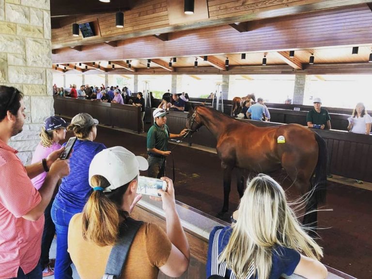 Our yearling with her fan club at the September sale. Our yearling with her fan club at the September sale.