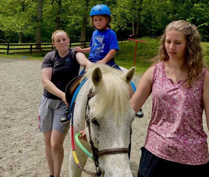 Photo courtesy of the Plaid Horse