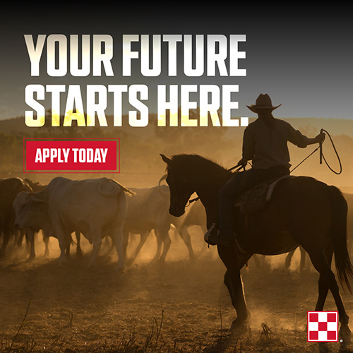 Purina Animal Nutrition Scholarship