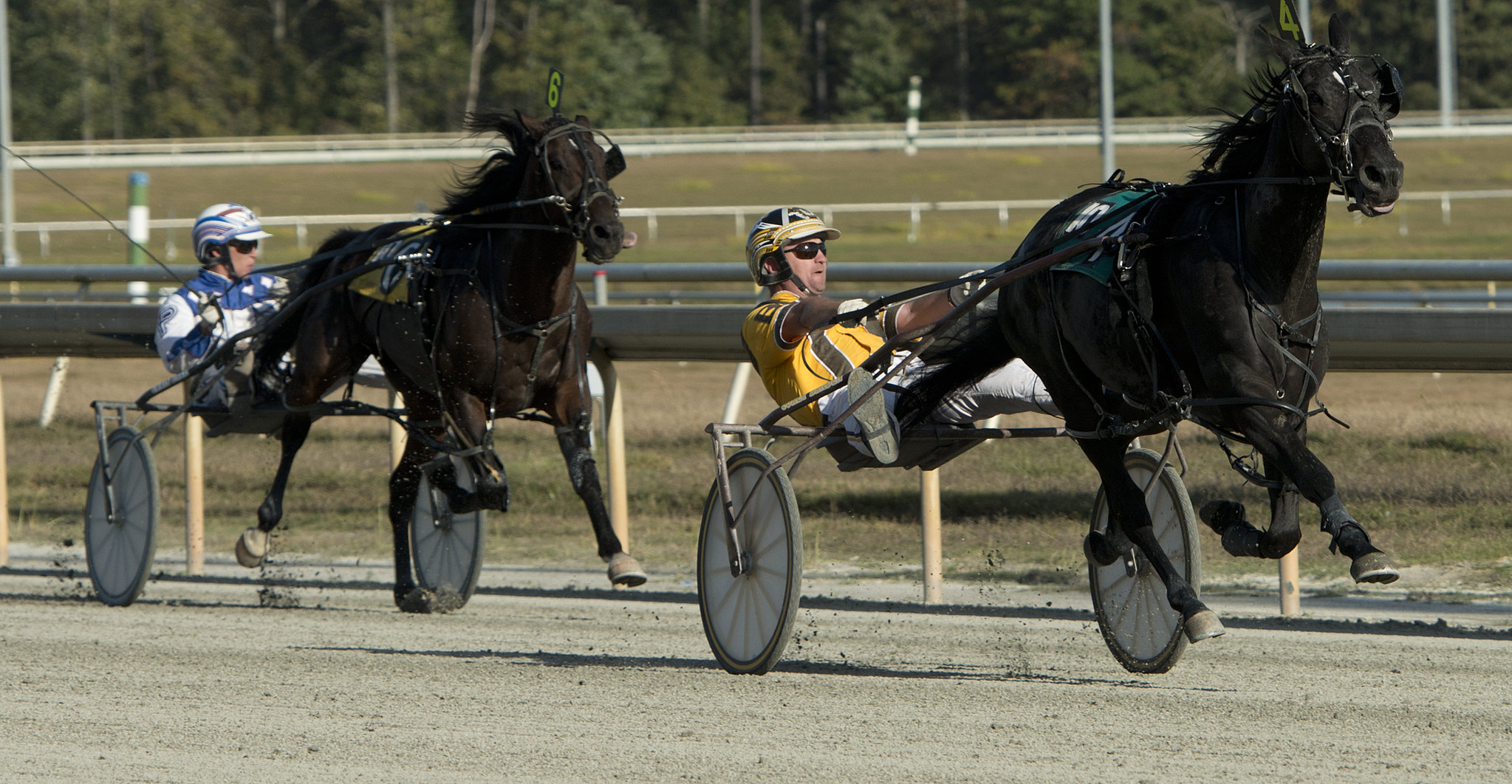 "Harness Racing at Colonial Downs" (CC BY 2.0) by tvnewsbadge