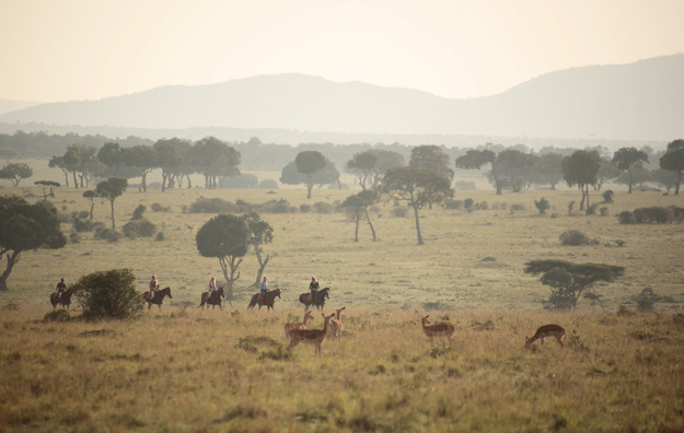 Safaris Unlimited - Kenya Africa