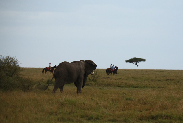 Safaris Unlimited, Kenya, Africa