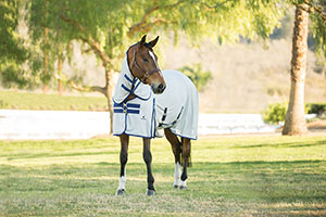 SmartPak Deluxe Fly Sheet for Horses