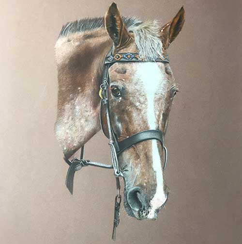 Bonny Snowdon’s Graceful Equine Portraits