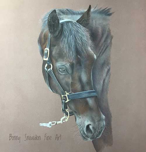Bonny Snowdon’s Graceful Equine Portraits