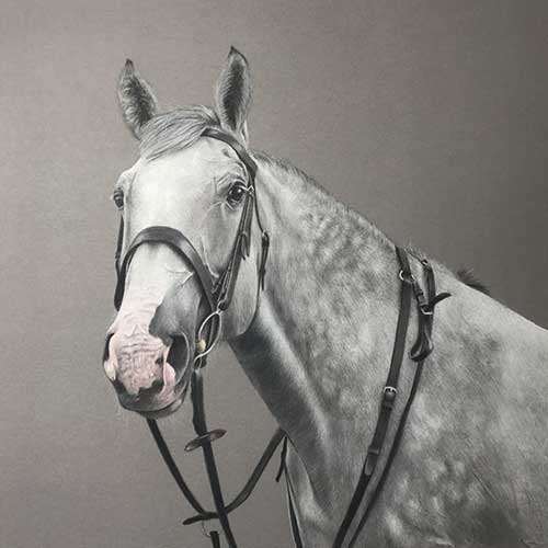 Bonny Snowdon’s Graceful Equine Portraits