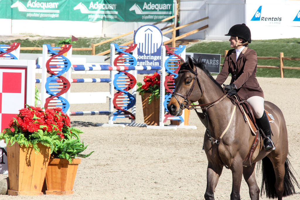 Photo © Lauren Mauldin Photo © Lauren Mauldin