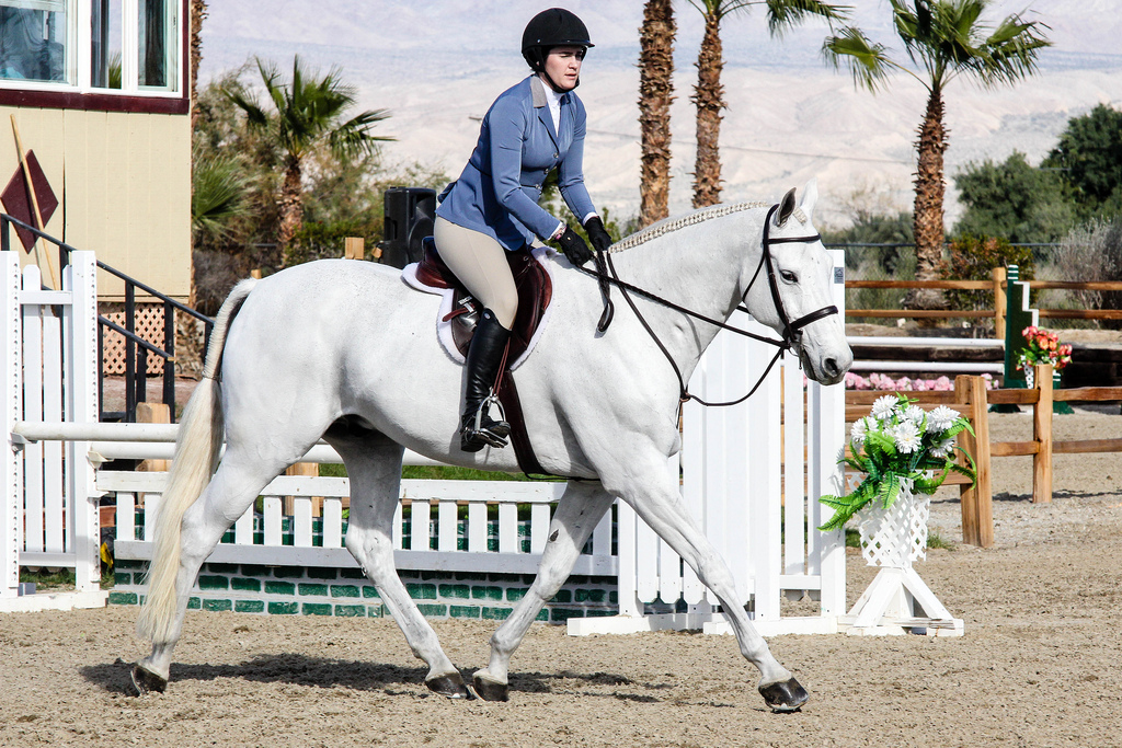 Photo © Lauren Mauldin Photo © Lauren Mauldin