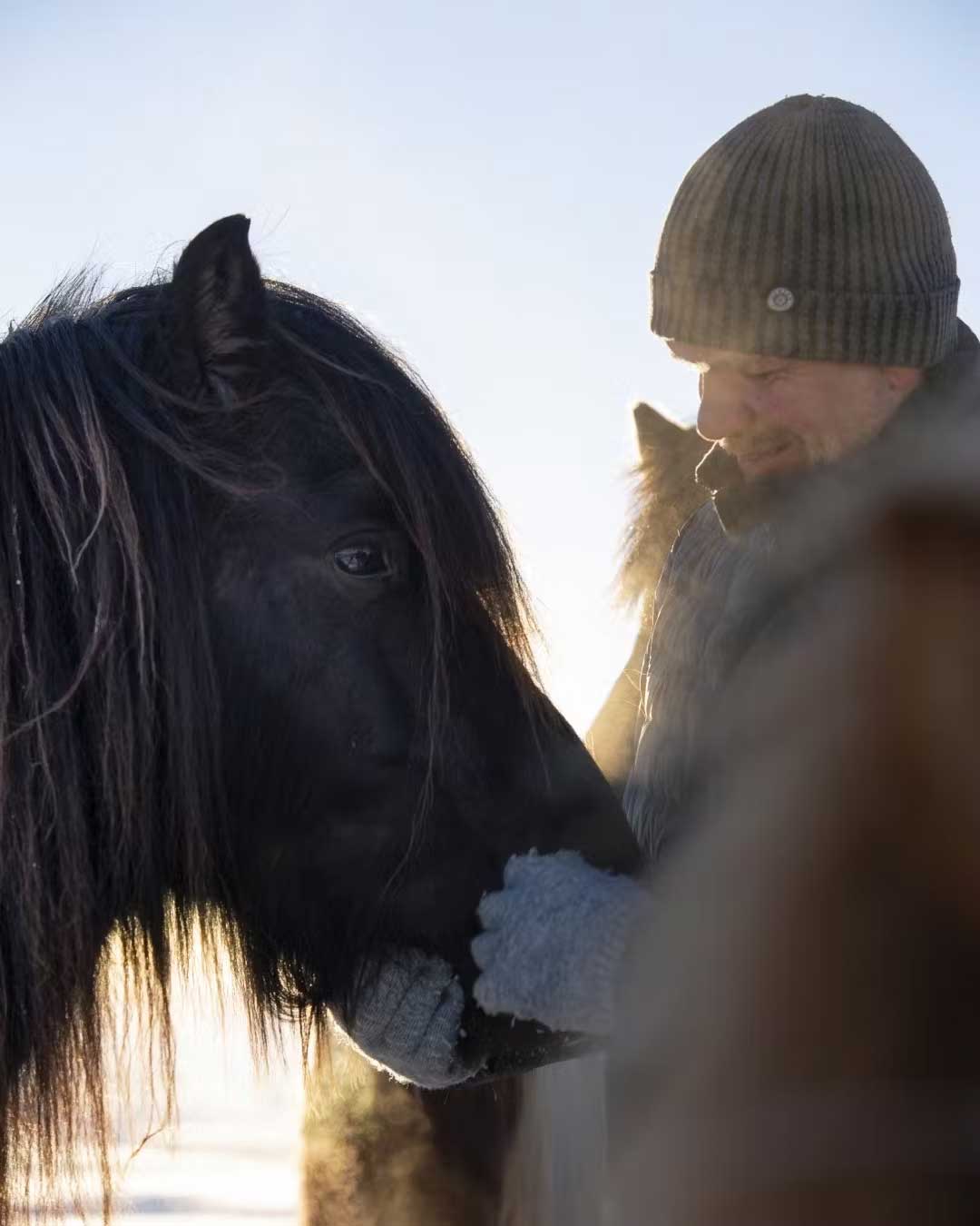 Photo Courtesy of the Icelandic Horse