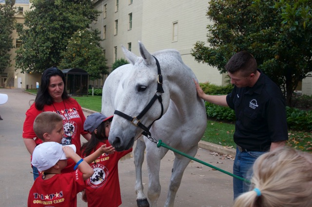 Families meet a caisson horse during a tour of the Pentagon at TAPS National Military Survivor Seminar, Memorial Day weekend 2015, courtesy of TAPS