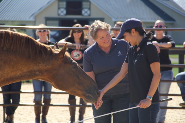 Lalaine Estella meets a horse during Equispective at the Salamander Resort with Sheryl Jordan and the TAPS family on September 16, 2016, courtesy of TAPS
