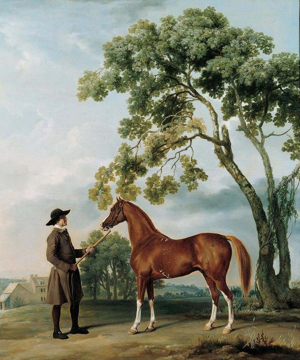 George Stubbs "Lord Grosvenor’s Arabian Stallion with a Groom", c. 1765, oil on canvas, possible W series genotype, 39 1/8 x 32 7/8 in. (99.3 x 83.5 cm) AP 1981.03, photo courtesy of Kimbell Art Museum, Fort Worth, Texas