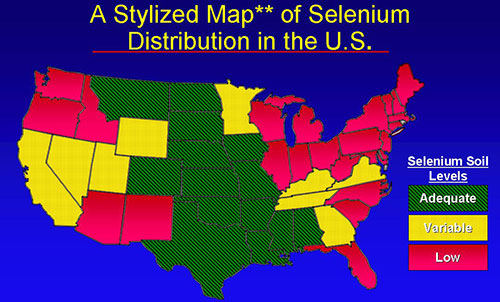 Selenium Distribution USA