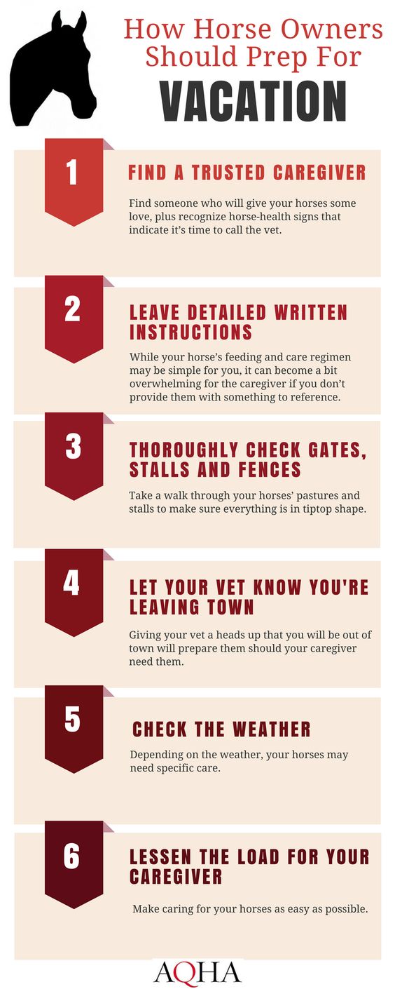How Horse Owners Should Prep for Vacation by the AQHA How Horse Owners Should Prep for Vacation by the AQHA