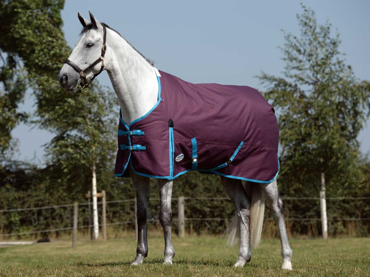 Photo courtesy of Valley Vet