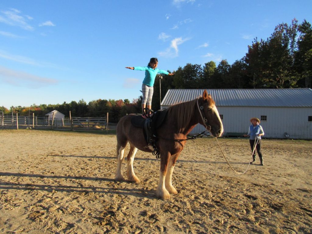 Shreya Hosur of Bar Harbor stands steady atop Rosie. The 6-year-old began learning how to vault on horseback two months ago.  Ellsworth American Photo by Maxwell Hauptman