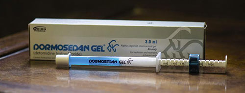 DORMOSEDAN GEL® (detomidine hydrochloride) from Zoetis DORMOSEDAN GEL® (detomidine hydrochloride) from Zoetis