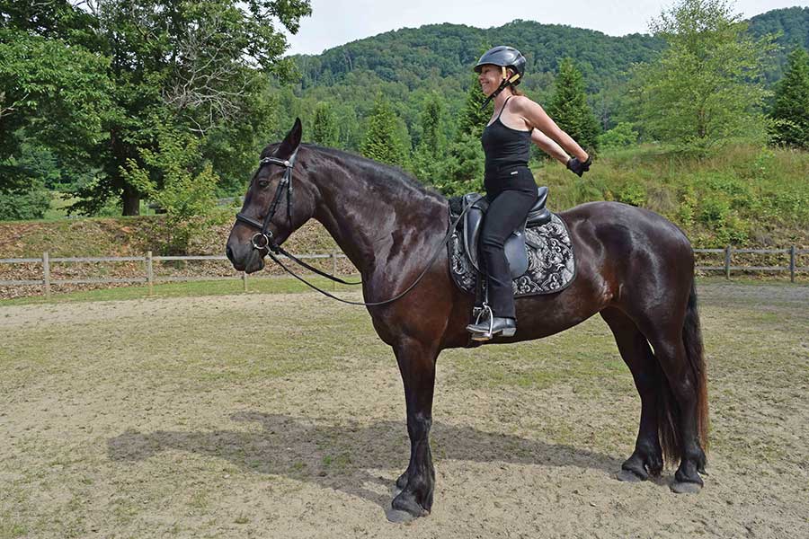 Photo by Carol Engan Borelli Photo by Carol Engan Borelli