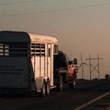 Five Tips for Hiring a Horse Shipper