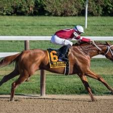 Why the Jockey is Just as Important as the Horse They Ride