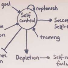 From Tracks to Fields: What Competition Teaches Us About Control