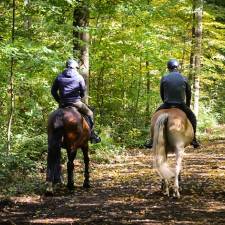 Trail Riding in Alabama