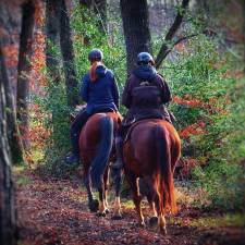 Stunning Horseback Riding Trails in Michigan You Can’t Miss